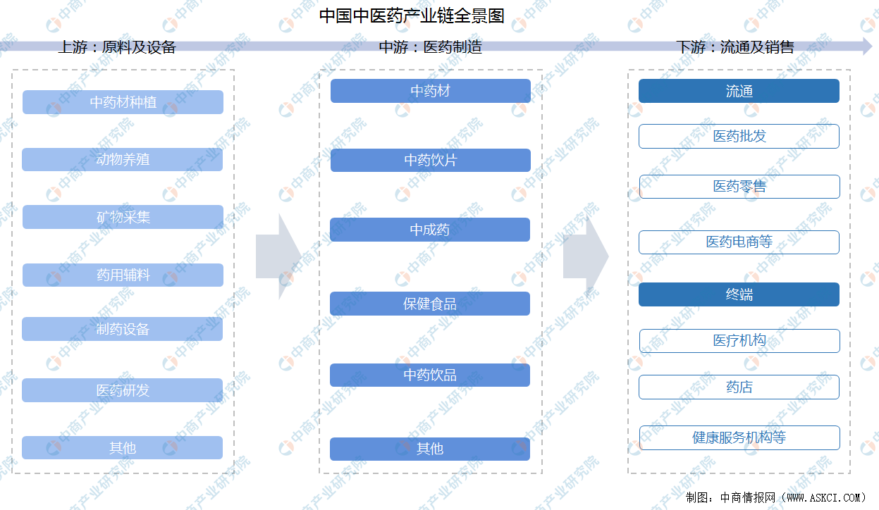 中医药领域学术期刊的国际化战略